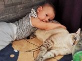 Вот такая не очень