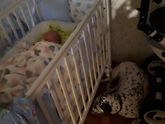 Настоящая охрана или собака и малыш