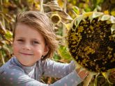 В подсолнухах 🌻🌻🌻