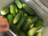 Вот люблю я дачные продукты!!