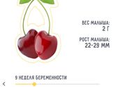 9 недель счастья)))