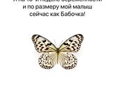Не смогла определиться) как