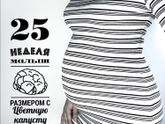 Девочки, большие ли у вас животики