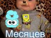 8 месяцев