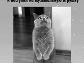 Для настроения??