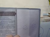 Рисунок в паспорте