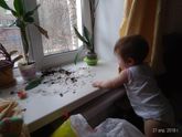 ШкОдНиЧеСтВа