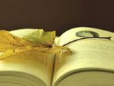 "8 необычных книг"📚🛋