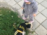 А мы уже в саду?