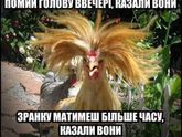 И так каждое утро