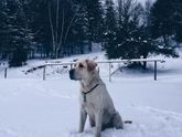 Мало же мне забот!)