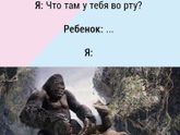 Не могу не выложить ?