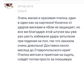 Отзывы об "крыльях от падения "