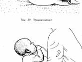 С 4-х.месяцев.