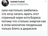 Всем доброго бодрого утра🎉