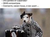 Улыбаемся