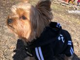 Охрана коляски)