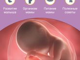 39 недель. Низкий старт?
