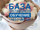 Что представляет работа с