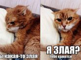 А вы контролируете себя?