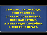 Фотография 2018-10-26 16:22:21