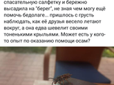 Заметки про Светлогорск