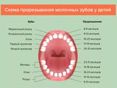 Зубы в три месяца?