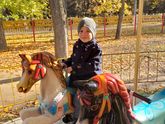 Сказочная осень в этом году🍁🌞