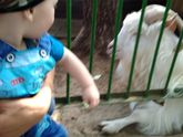 Решили сегодня ребенку устроить