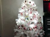 🌨️🎄😻