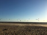 36.4 недель