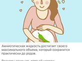 33 недели !