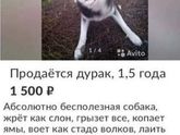 ??????Походу мужик зае###ся