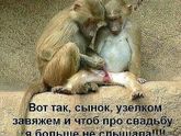 Свекрови?