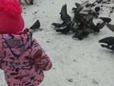 Первый снег🌨️❄️❄️❄️