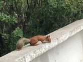 Первая поездка в горы