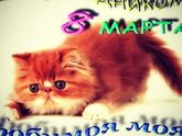 С 8 мартом