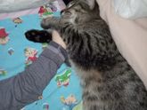 Ну что за любовь ❤