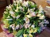 Подскажите как называются цветы