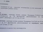 Вот я и в протоколе