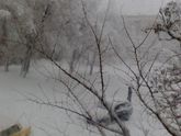 Снег сыпет ❄❄❄❄❄❄❄⛄⛄