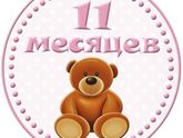 11 месяцев?