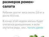 36 недель