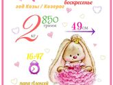 Бесплатные метрики!