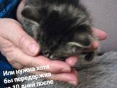 Девочки срочно!!!!