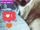 Охраняем сестричку ?♥?
