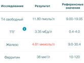 Железо 4,8 и Ферритин 38