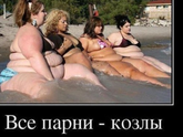 Фотография 2019-02-10 21:26:02