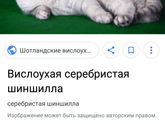 Болит душа