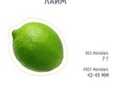 Время летит !Растём
